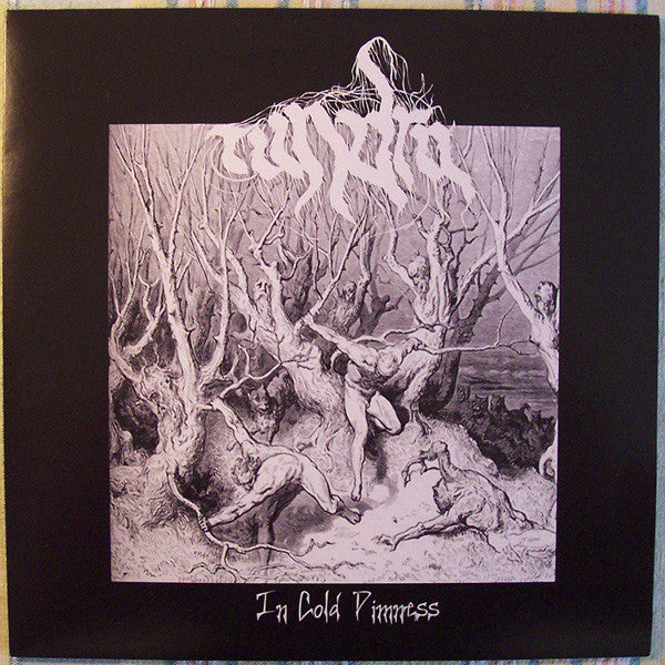 TUNDRA - In Cold Dimness