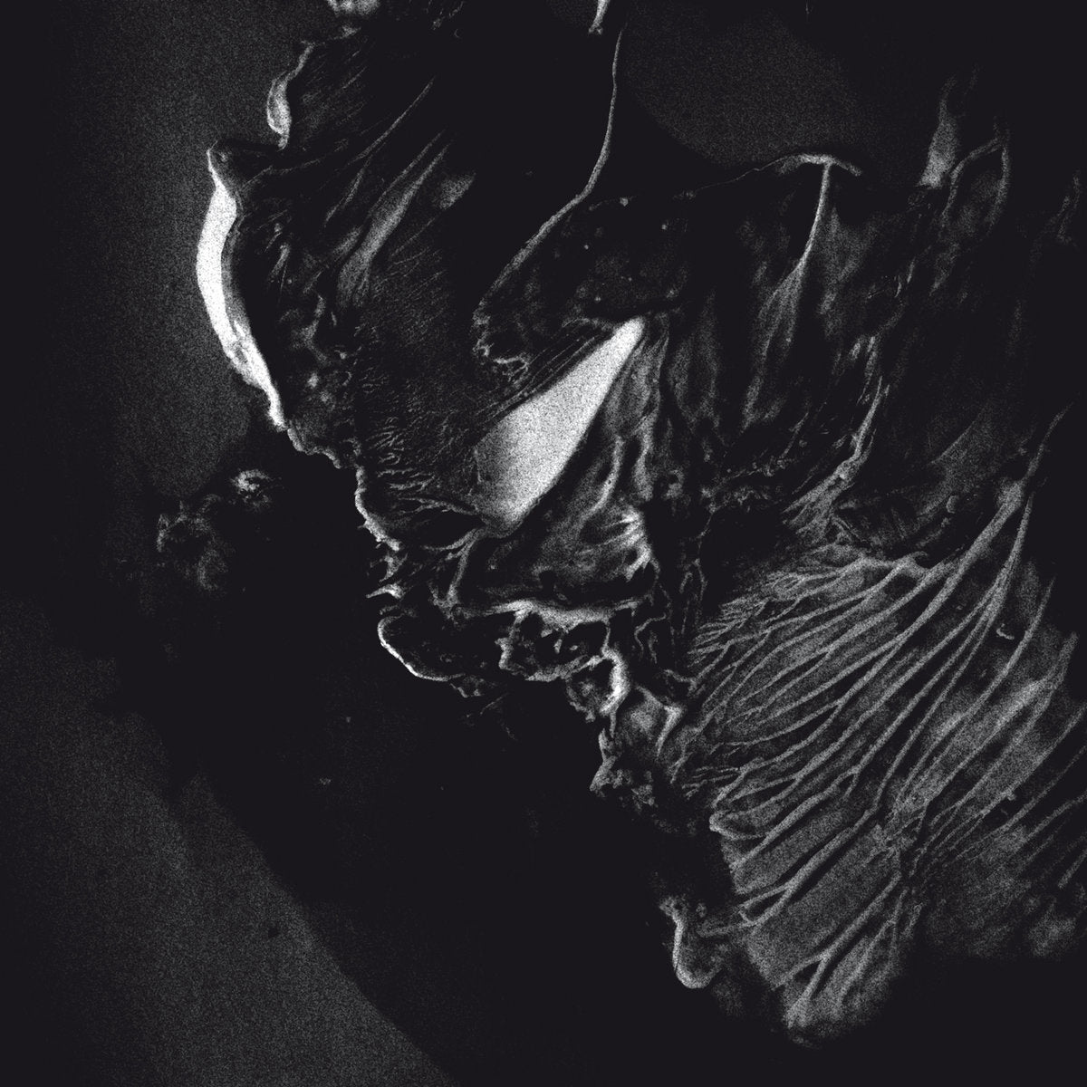 WELLS VALLEY - Achamoth CD