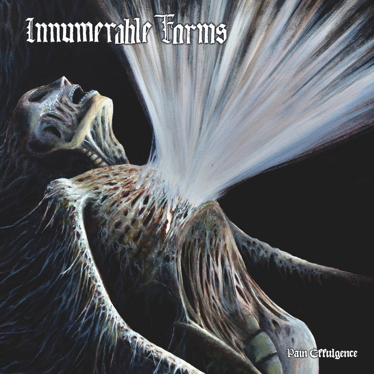 INNUMERABLE FORMS - Pain Effulgence CD