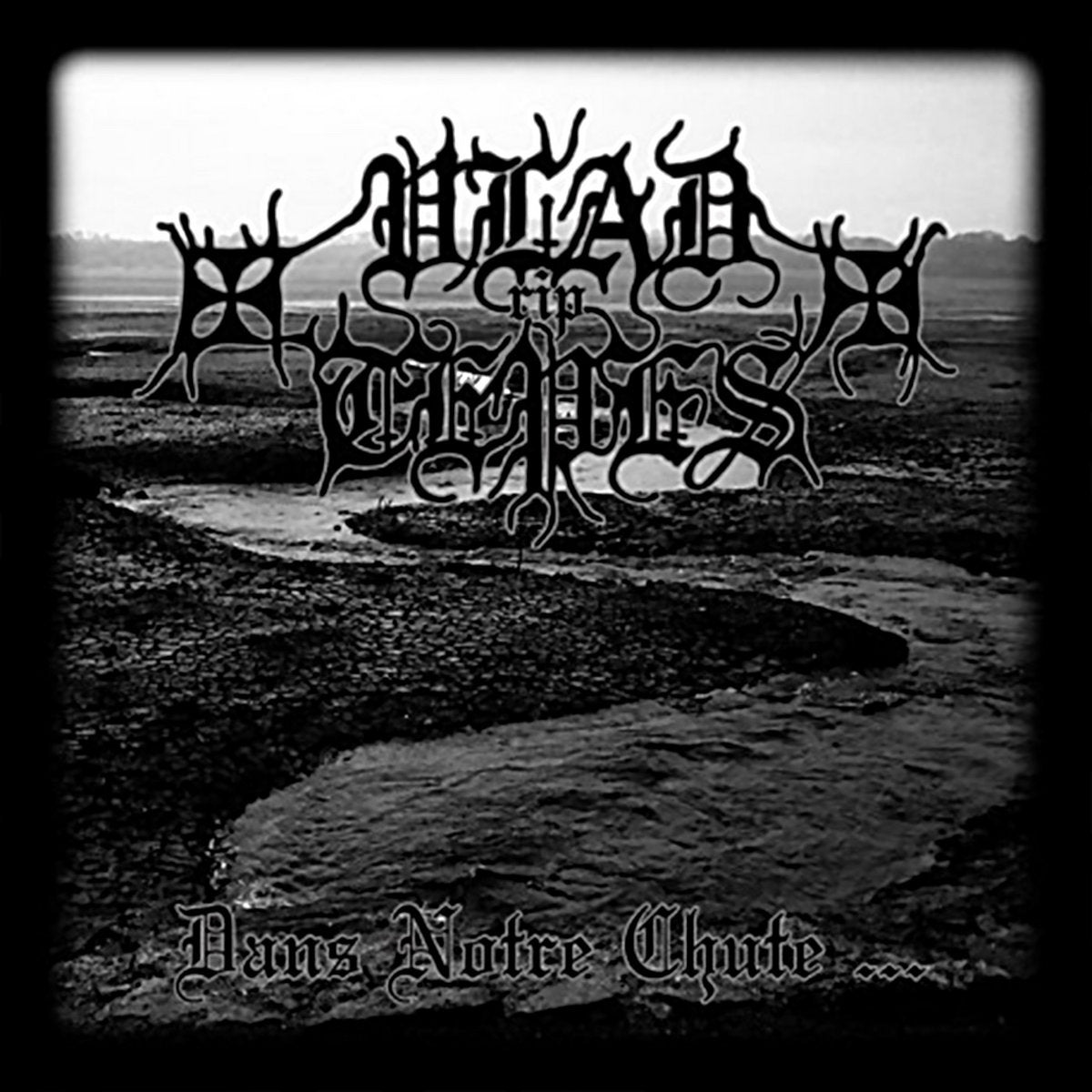 VLAD TEPES - Dans Notre Chute... CD