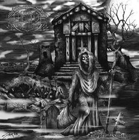 AMNION - Cryptic Wanderings CD